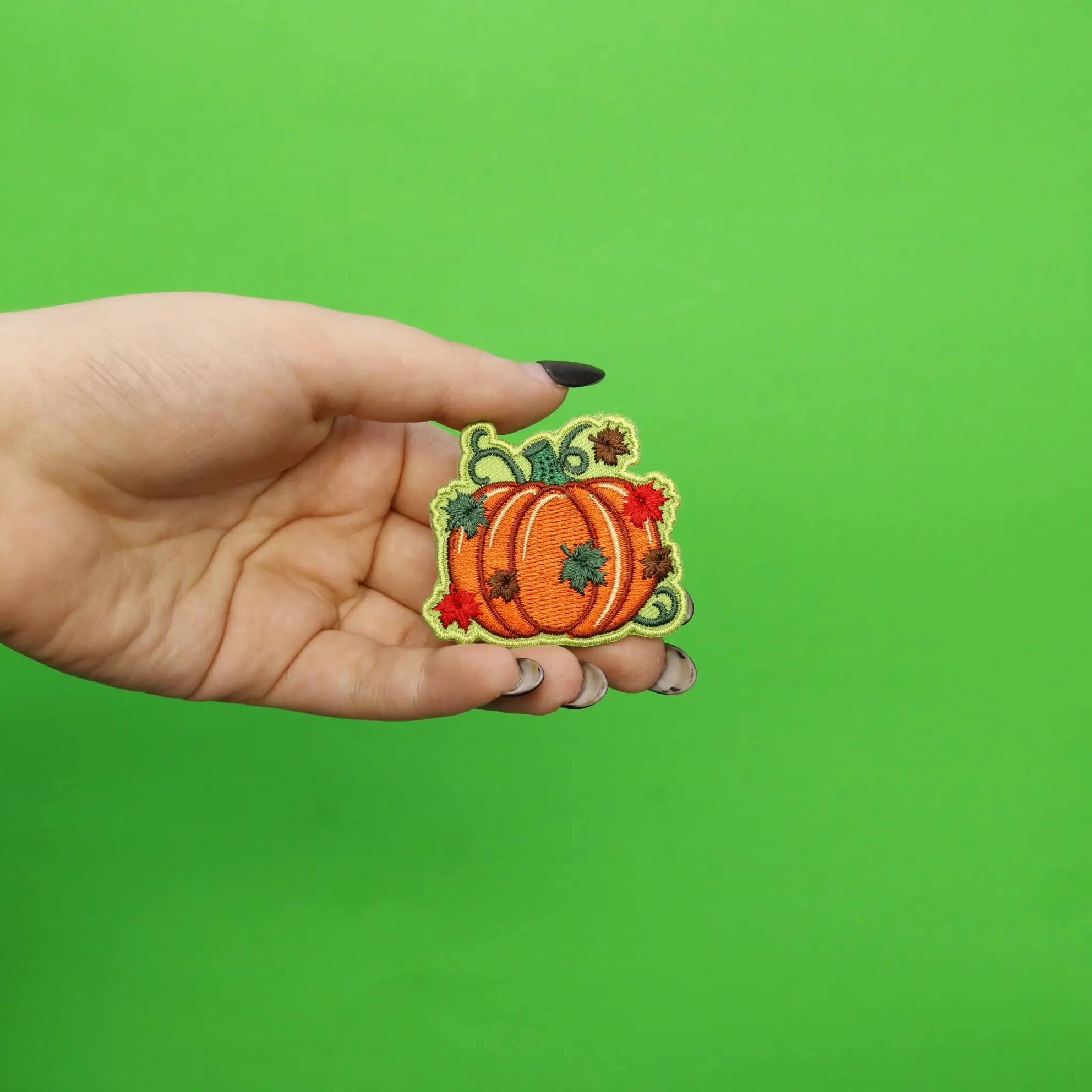 Thumbnail 2